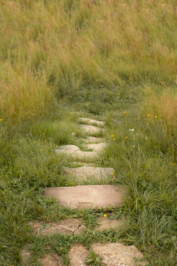 Walking the Narrow Path: A Journey of Faith and Righteousness